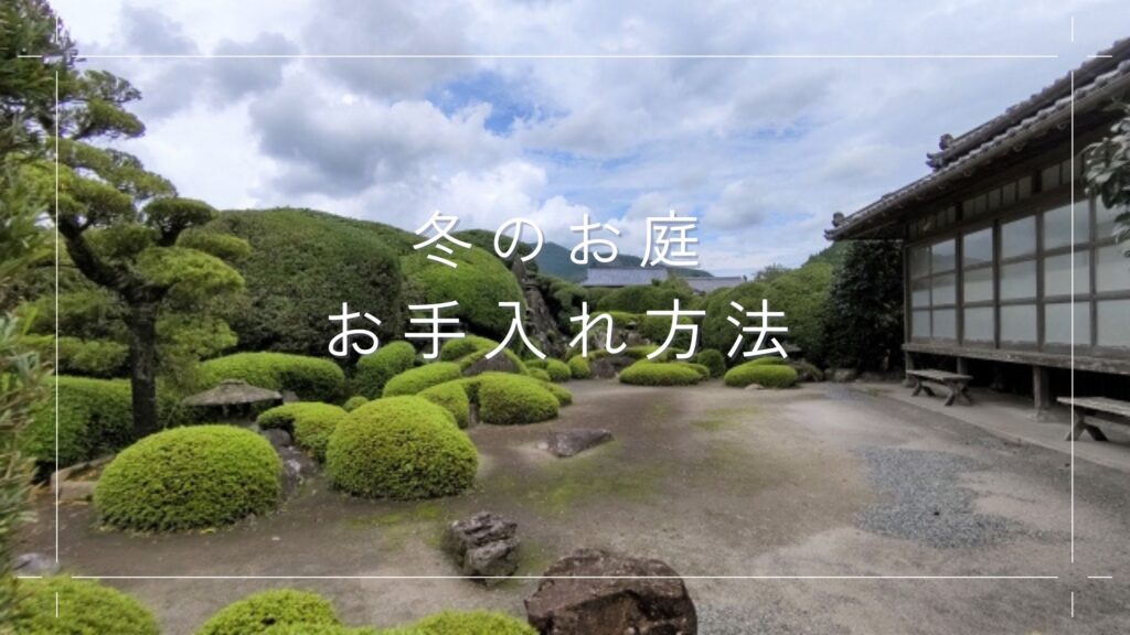 簡単にできる冬の庭の手入れ方法